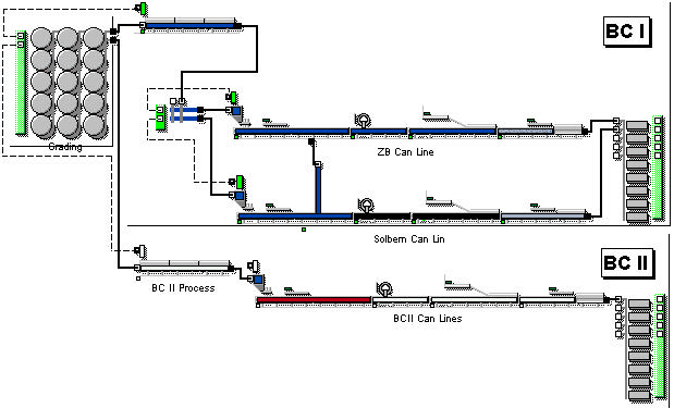 The olive plant model: a grading area of round tanks feeding two facilities, BC I with its ZB and Solbern can lines and BC II with its own can lines, each ending in a bank of finished-goods positions.